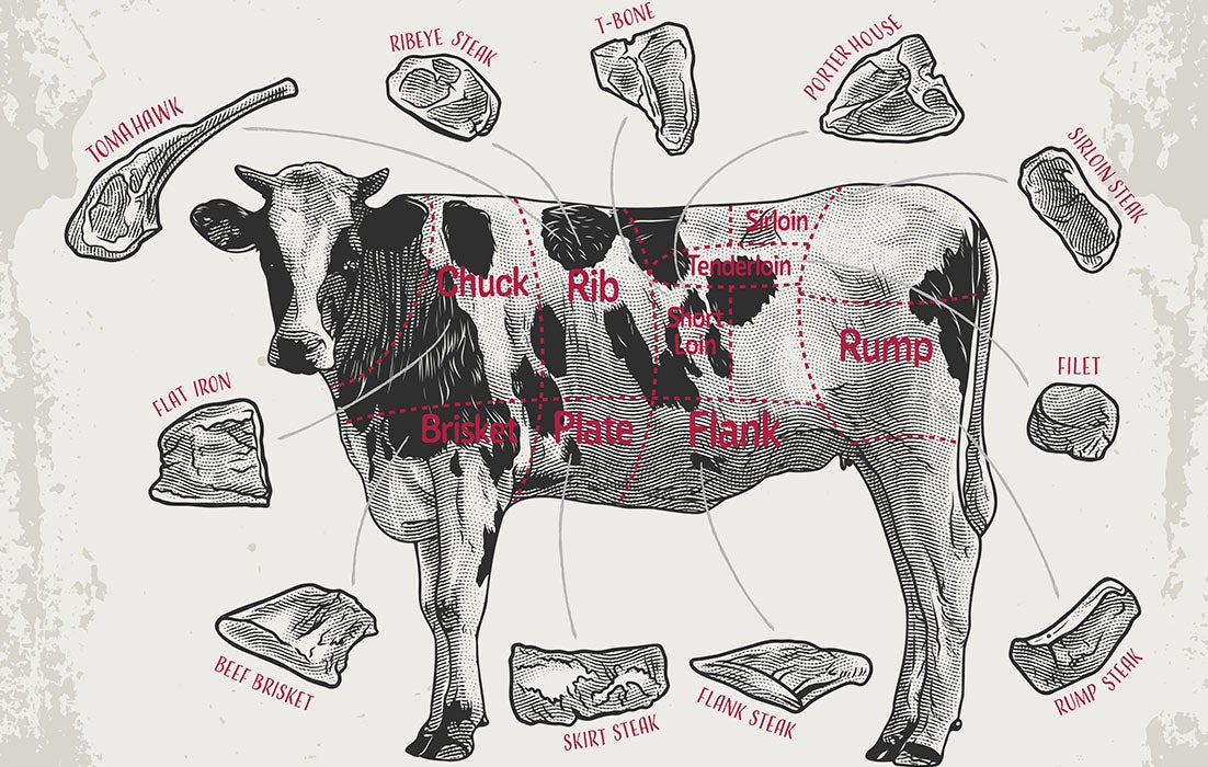 Verschiedene Steakcuts am Beispiel einer Kuh