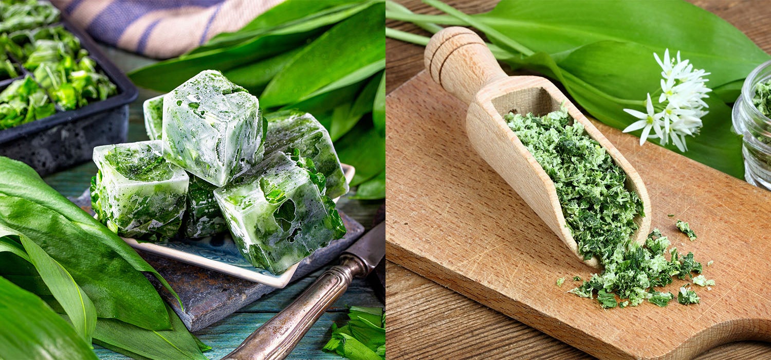 Eine geteilte Ansicht: links gefrorener Bärlauch in einer Gefriertüte, rechts ein Glas mit getrocknetem Bärlauch
