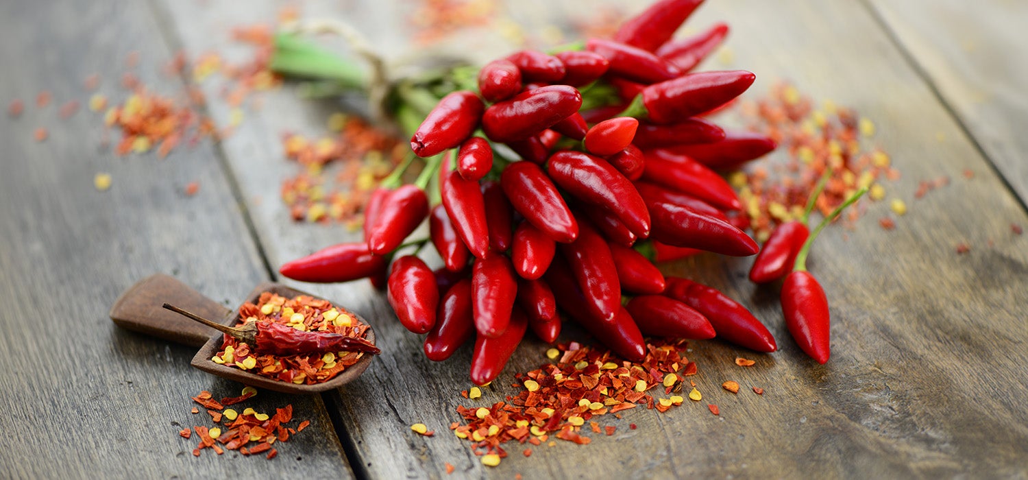 Rote Chilischoten als Gemüse und als Gewürz 