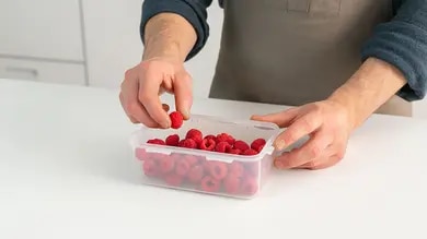 Maggi Kochratgeber Himbeeren einfrieren