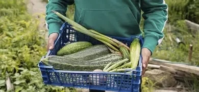 Zucchini Rezepte