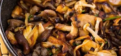 Austernpilze frittieren