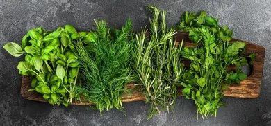 Frische Kräuter auf Holzbrett mit Basilikum, Dill, Rosmarin und Petersilie auf dunklem Untergrund