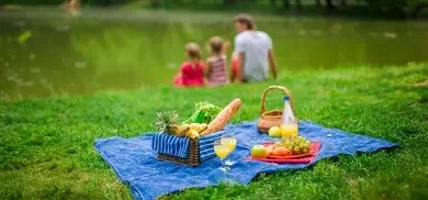 Picknickdecke mit Picknickkorb, Obst, Gebäck und Getränken auf Wiese am See