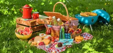 Picknickkorb, Grill, Käse, Brot, Obst und Getränke auf Decke im Gras
