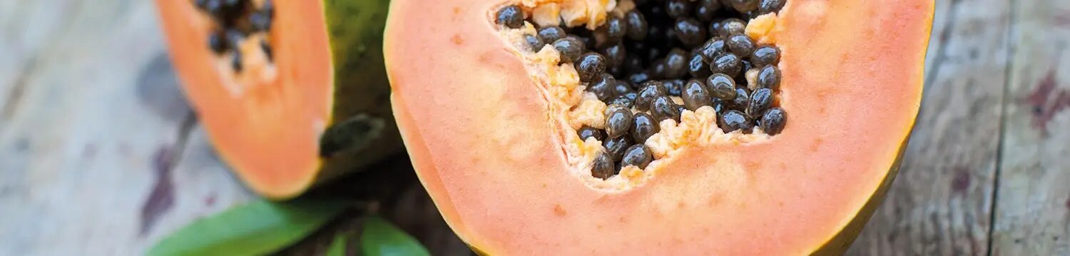 maggi kochratgeber papaya