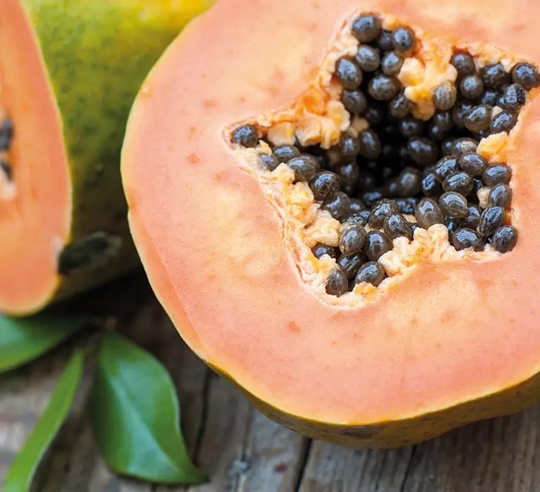 maggi kochratgeber papaya