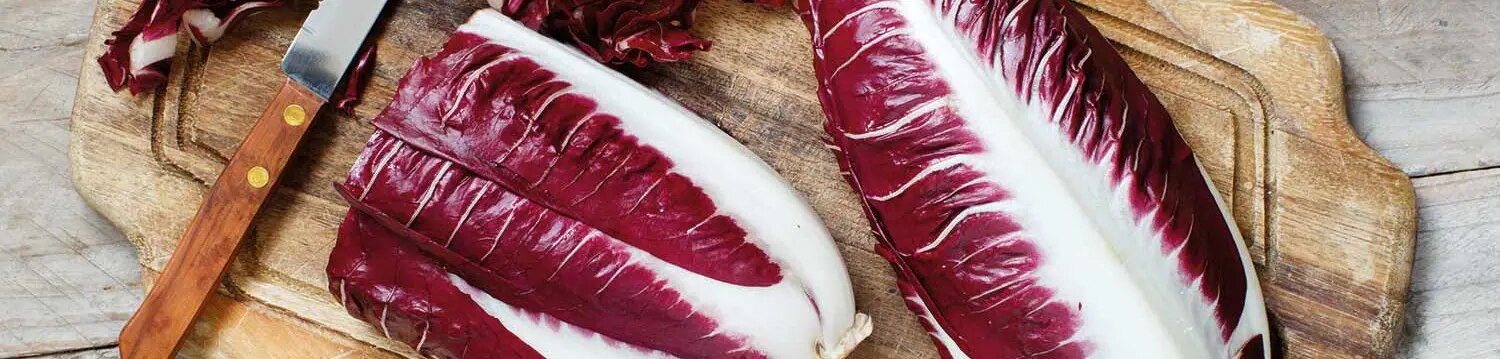 maggi kochratgeber radicchio