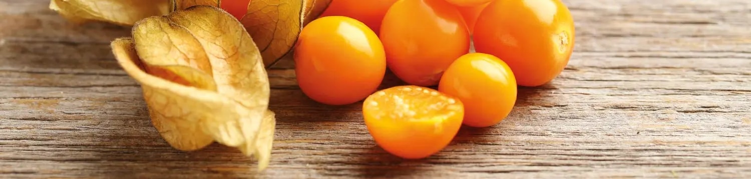 maggi kochwissen physalis