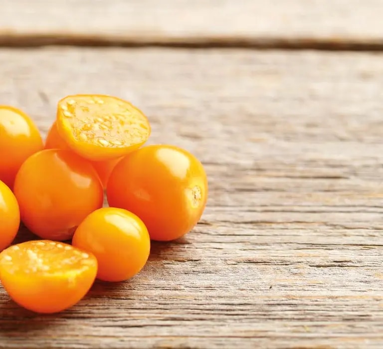 maggi kochwissen physalis