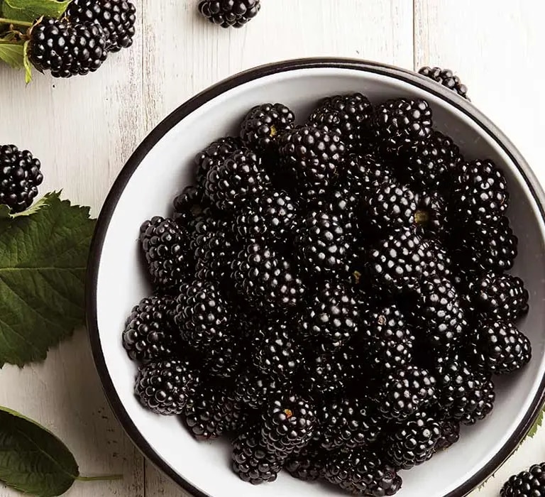 Brombeeren in Schaale
