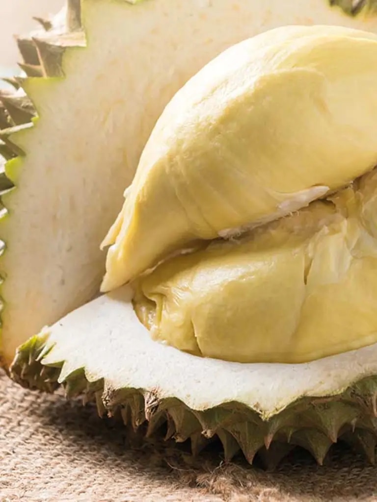 maggi-kochratgeber-durian