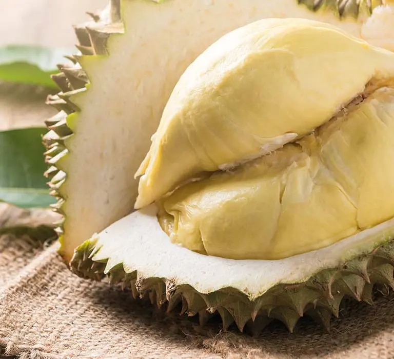maggi-kochratgeber-durian