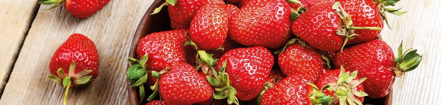 maggi kochratgeber erdbeeren