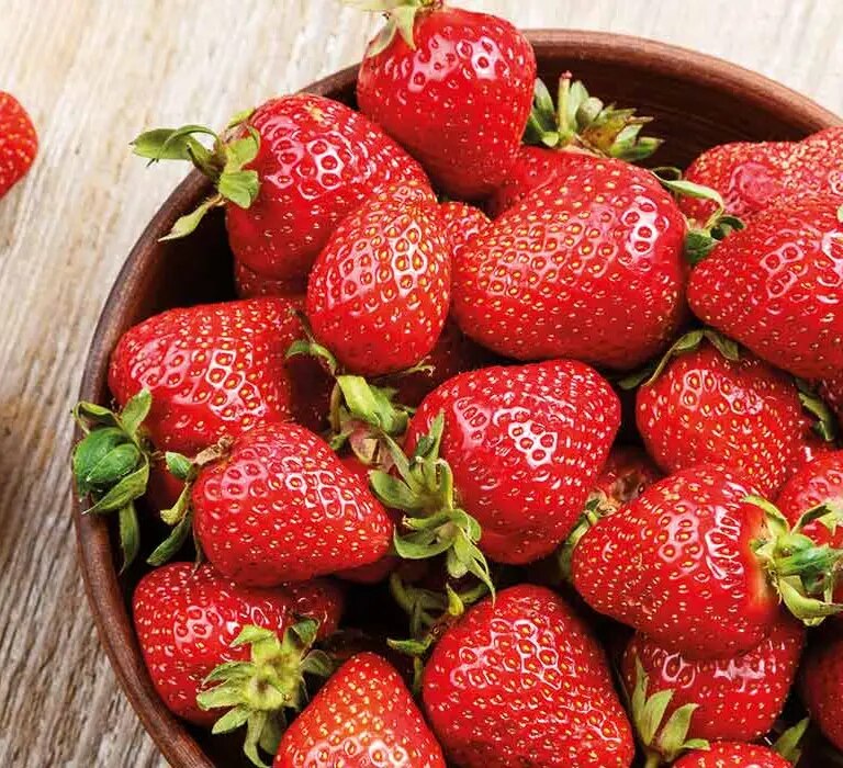 maggi kochratgeber erdbeeren