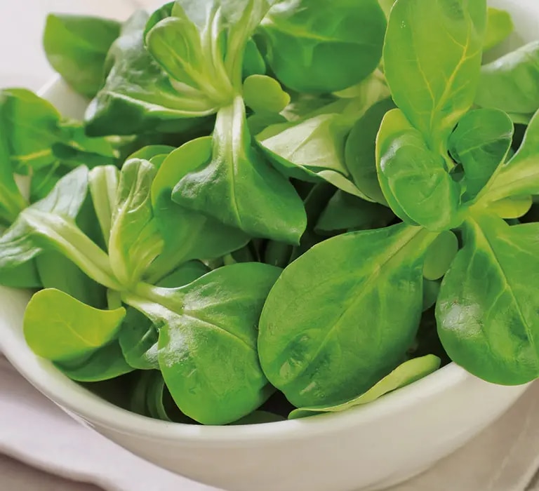 Gewaschener Feldsalat in einer Schüssel