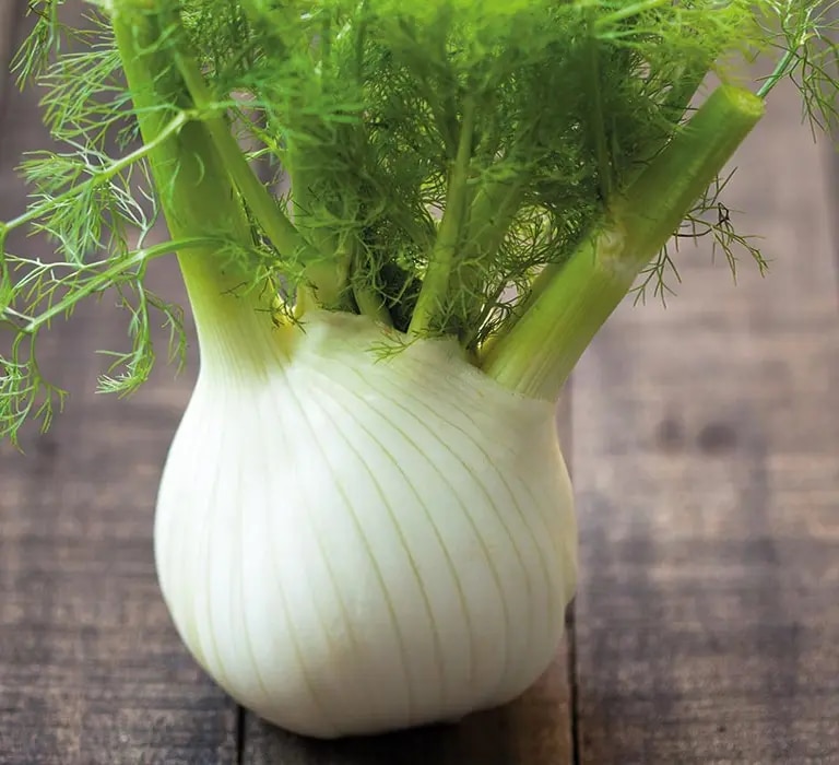 maggi-kochratgeber-fenchel