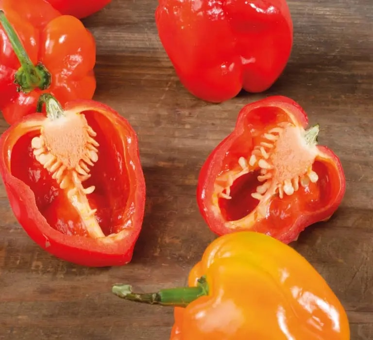 Habanero Chilis