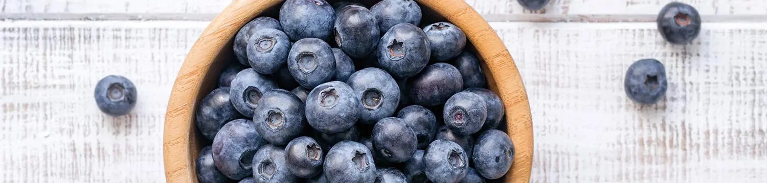 Reife Heidelbeeren