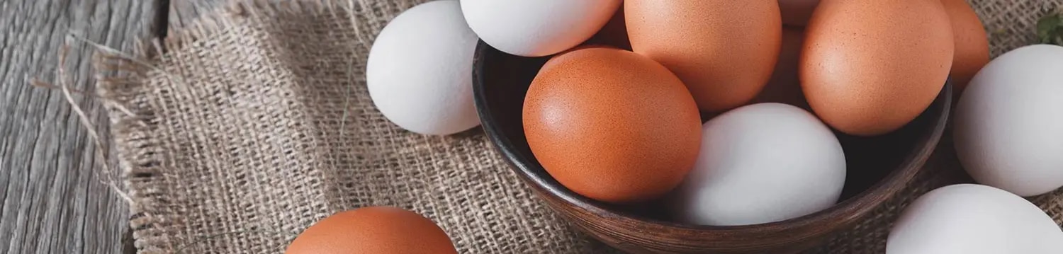 maggi kochratgeber kochwissen eier