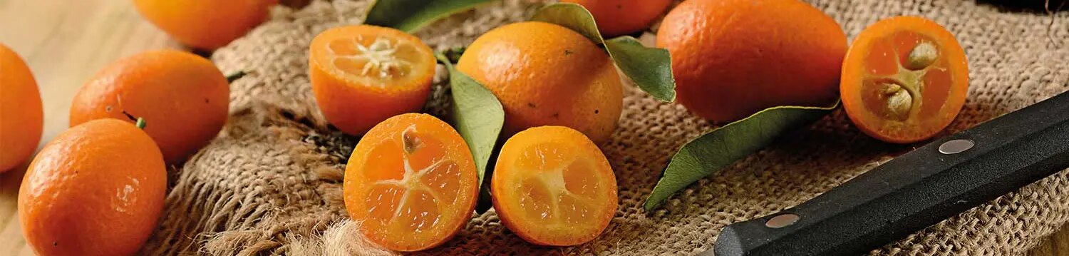 maggi-kochratgeber-kumquat