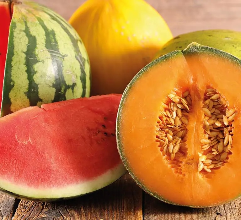 maggi kochratgeber melone