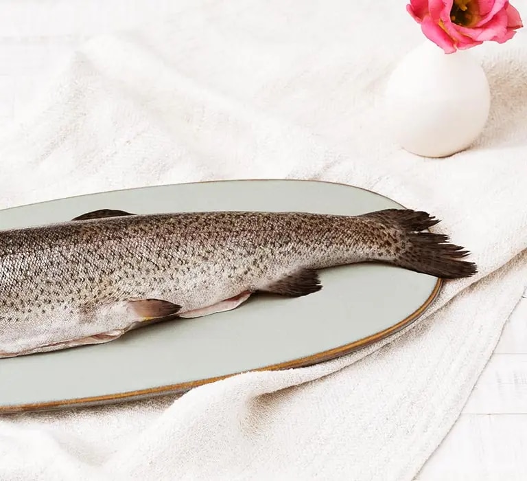 Maggi Kochratgeber frischen Fisch aufbewahren 