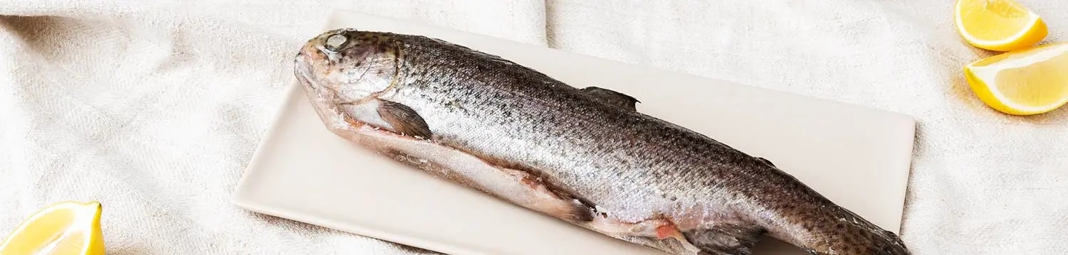 Maggi Kochratgeber frischen Fisch einfrieren 