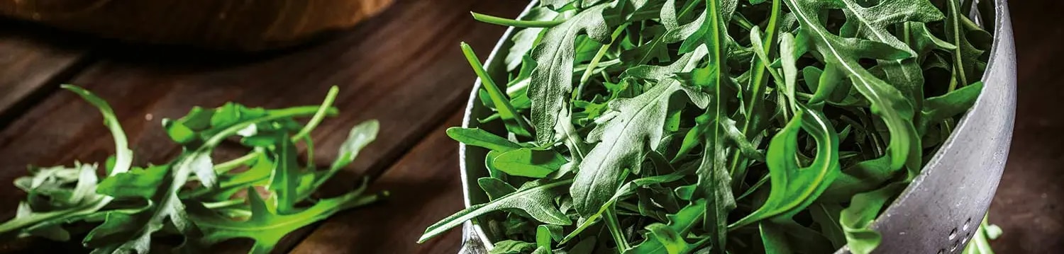 Rucola