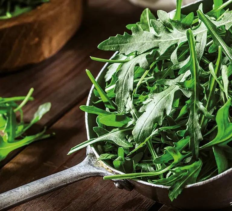 Rucola
