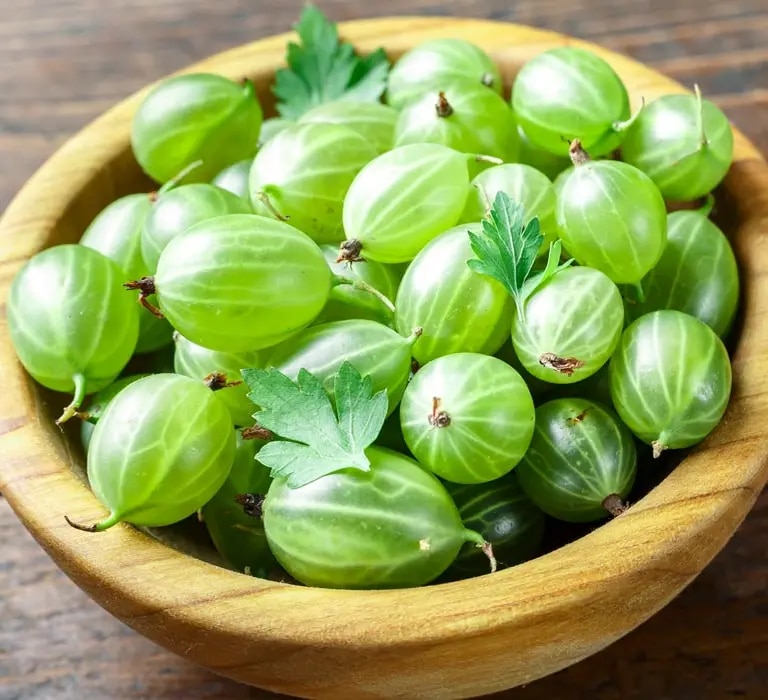 Maggi Kochratgeber Stachelbeeren