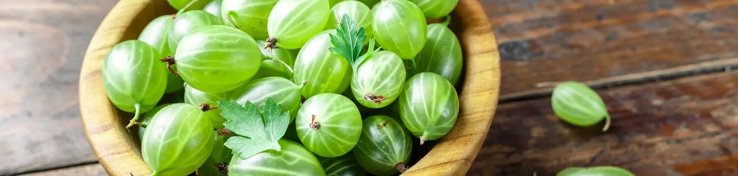 Maggi Kochratgeber Stachelbeeren