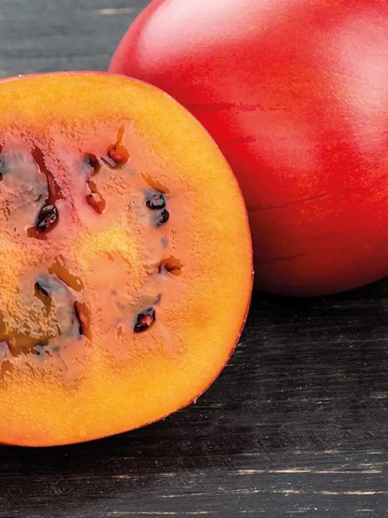 Tamarillo