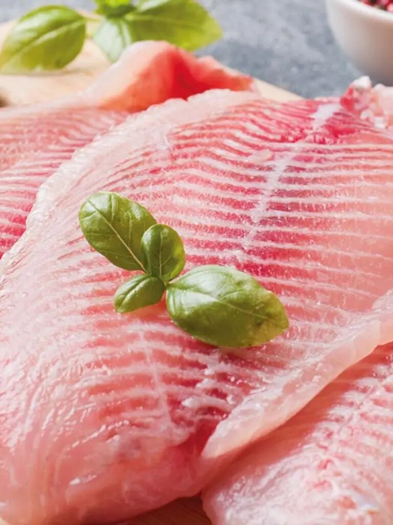 Tilapia 