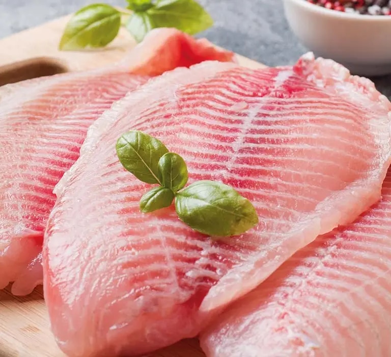 Tilapia 
