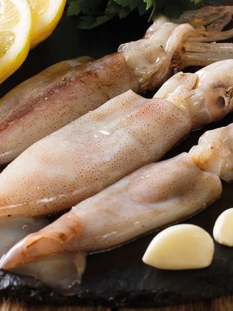 Tintenfische