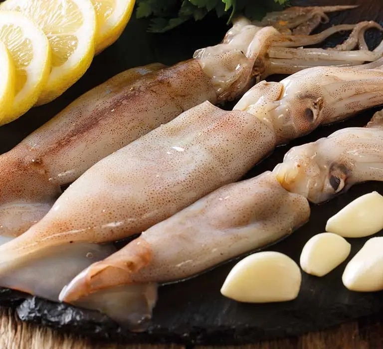 Tintenfische