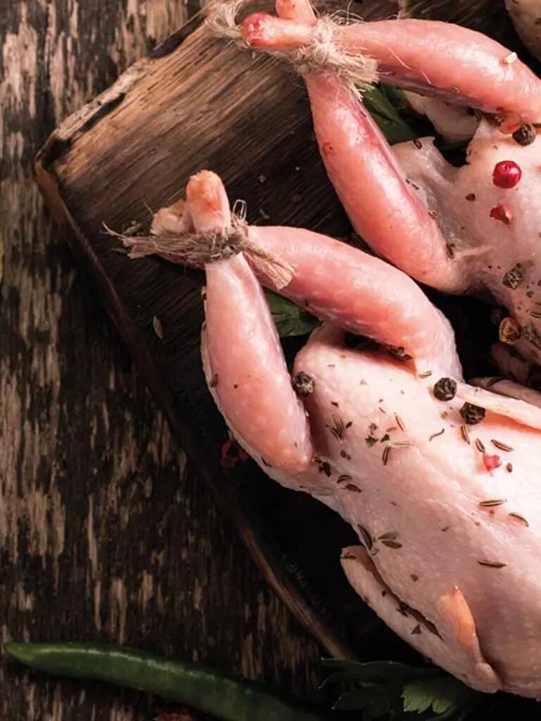 Maggi Kochratgeber Header Wachtel