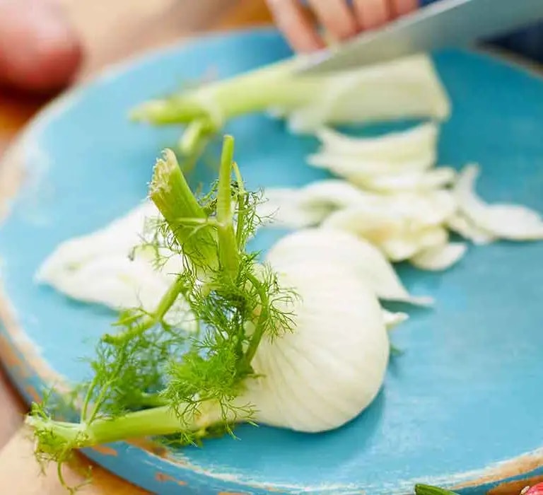 Fenchel
