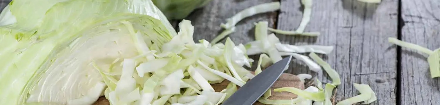 Header_Weißkohl