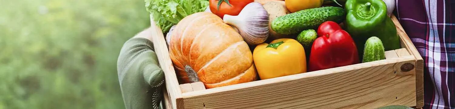 maggi-category-saison-header