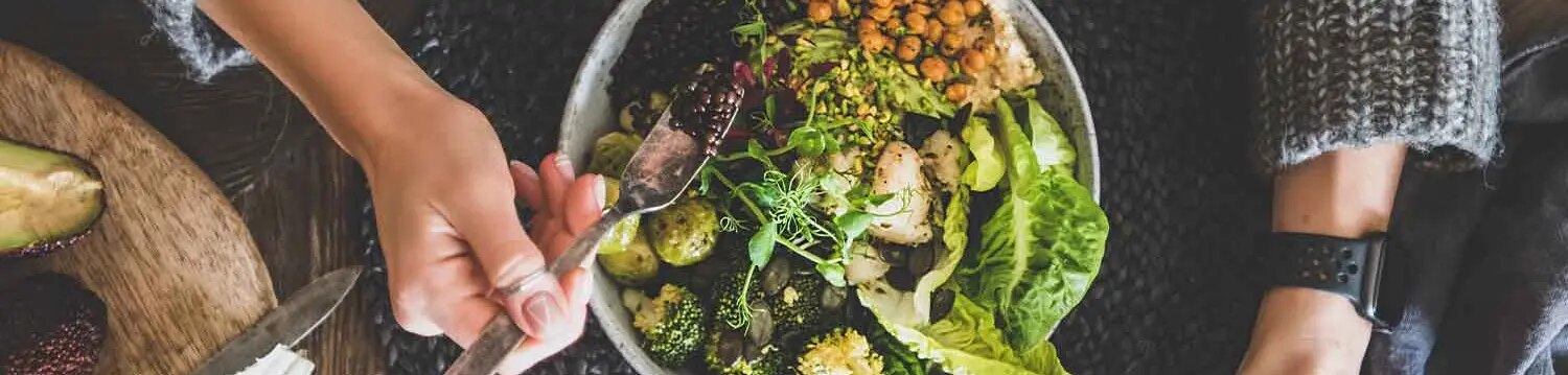 maggi-category-vegan-header