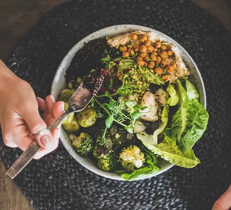 maggi-category-vegan-header