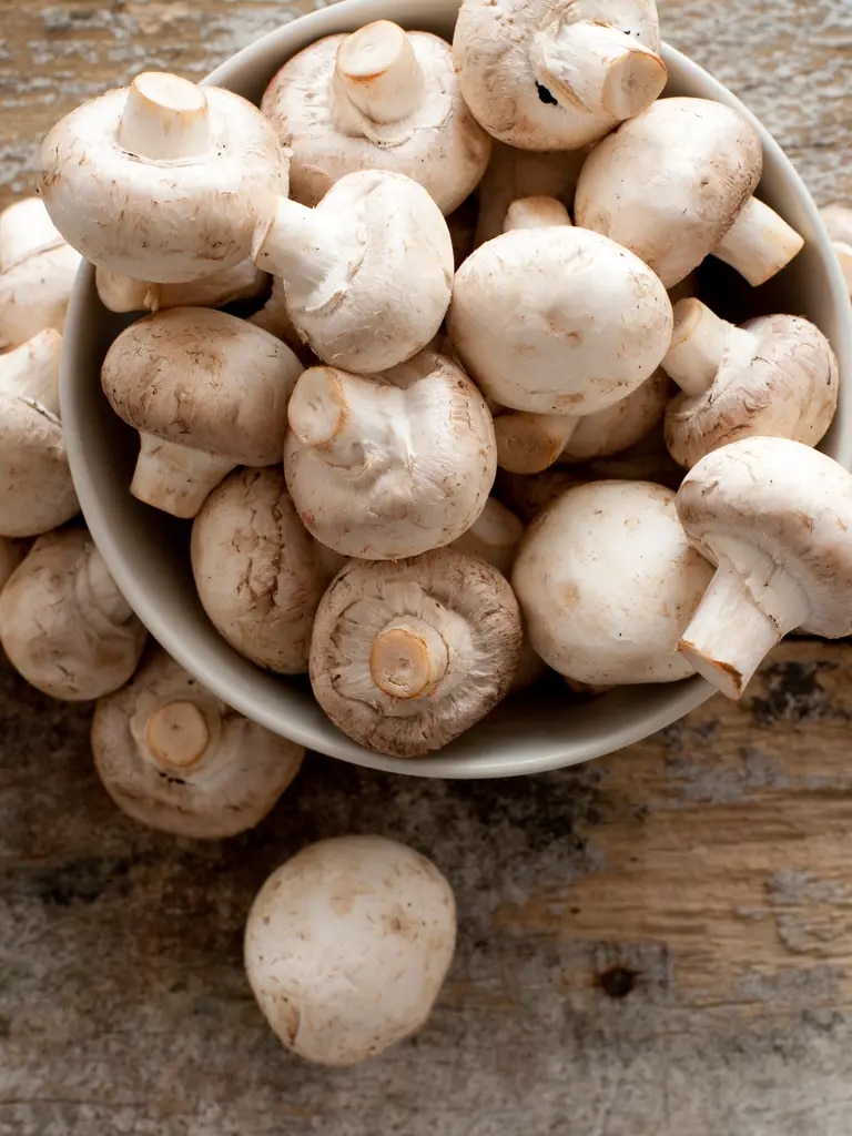 Champignons Kochratgeber