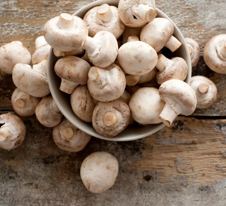Champignons Kochratgeber