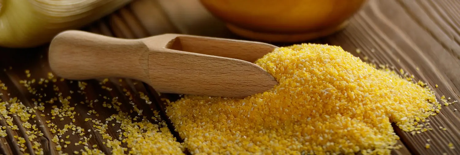 Polenta Kochratgeber