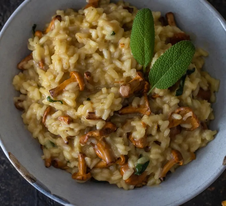 Header Risotto