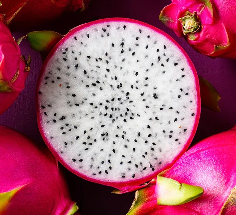 Header Drachenfrucht