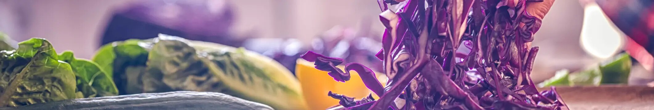 Header_Rotkohl