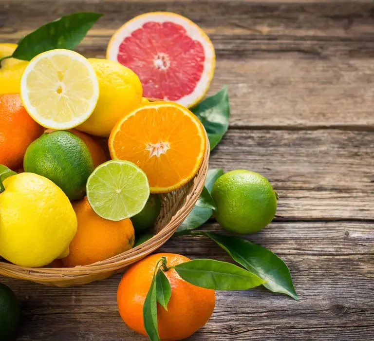 Zitrusfrüchte Header
